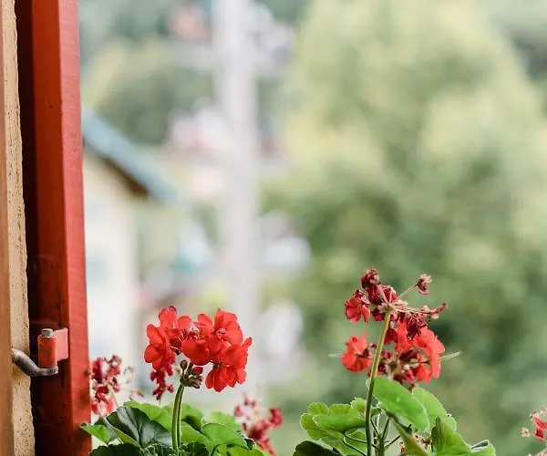 Hotel Posthotel Sachrang